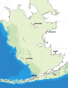 Bering Sea Location